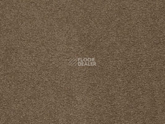 Ковролин Balta ITC Preciosa 41 фото 1 | FLOORDEALER