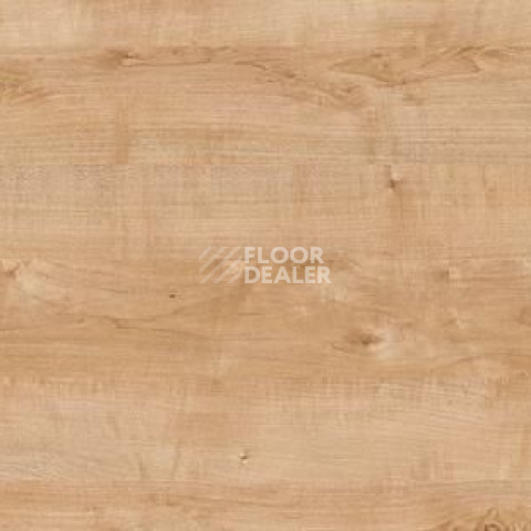 Широкий плинтус Cubu flex life XL 60/19 Touch and style 2934 melua фото 2 | FLOORDEALER