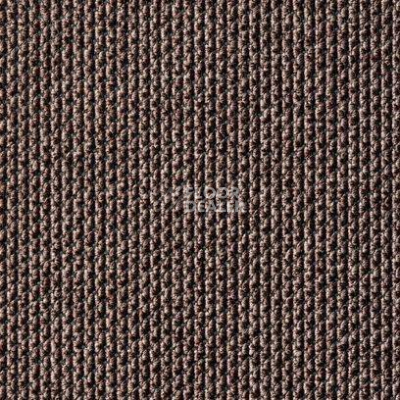 Ковролин Carpet Concept Eco Zen 280005 - 6762 фото 1 | FLOORDEALER