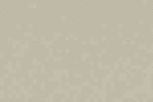 Линолеум Forbo SureStep Laguna 181472 white moss фото  | FLOORDEALER