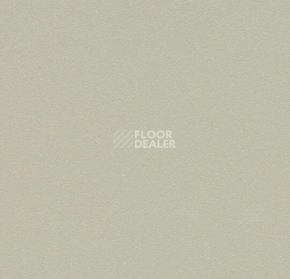 Линолеум Forbo SureStep Laguna 181472 white moss фото 1 | FLOORDEALER