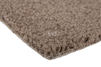 Haima Noble 99 фото 5 | FLOORDEALER