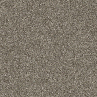 Interface Polichrome 7563 Hemp фото 1 | FLOORDEALER