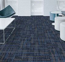Casini Casini 556 фото 2 | FLOORDEALER