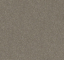 Ковровая плитка Interface Polichrome 7563 Hemp фото 1 | FLOORDEALER