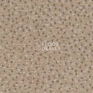 Ковролин Balta Puntino 34 фото 1 | FLOORDEALER