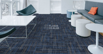 Casini Casini 556 фото 2 | FLOORDEALER