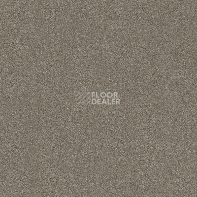 Ковровая плитка Interface Polichrome 7563 Hemp фото 1 | FLOORDEALER