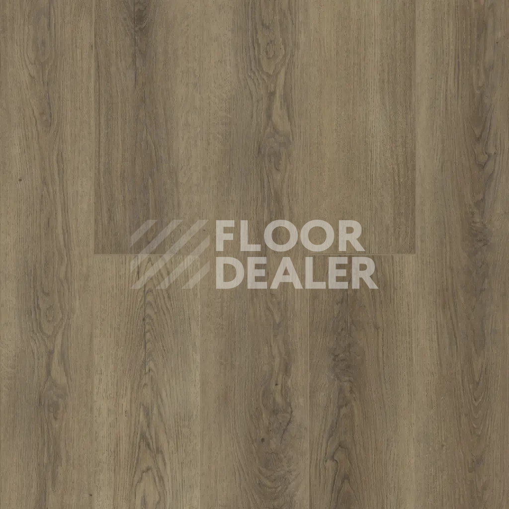 Кварцвиниловые полы Alpine Floor Easy Line 3мм Дуб Дриада ЕСО3-44 фото 1 | FLOORDEALER