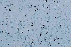 Линолеум Apoluza SportFloor PVC Jiajing BXJJ8022 фото  | FLOORDEALER