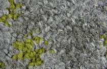 Ковровая плитка ColorKey ColorKey b 02 фото 1 | FLOORDEALER