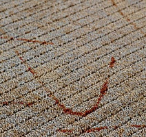 Ковролин BIG Prestige 364 фото 1 | FLOORDEALER