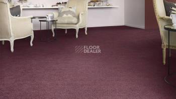 Vorwerk Superior 1041 Vorwerk 1m92 фото 2 | FLOORDEALER