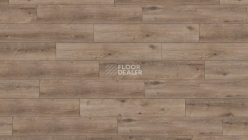 Kronotex Exquisit Plus d6020 Дуб Кашмир Титан фото 1 | FLOORDEALER