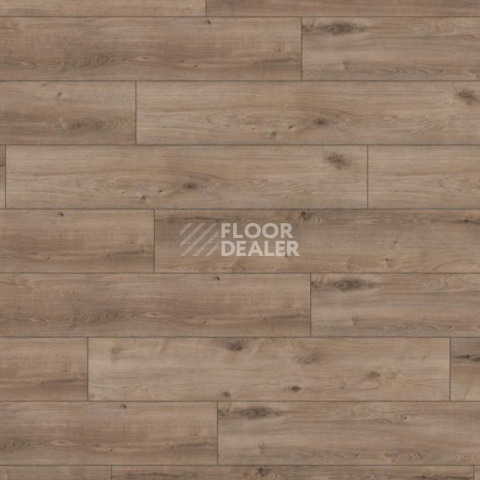 Ламинат Kronotex Exquisit Plus d6020 Дуб Кашмир Титан фото 1 | FLOORDEALER