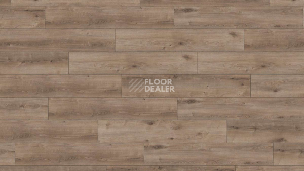 Ламинат Kronotex Exquisit Plus d6020 Дуб Кашмир Титан фото 1 | FLOORDEALER