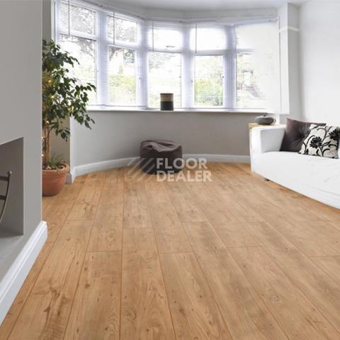 My Floor Chalet 10мм m1008 Каштан натуральный фото 4 | FLOORDEALER