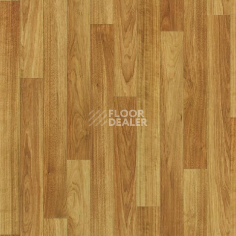 Линолеум Tarkett Sparta ATOS_1 фото 1 | FLOORDEALER