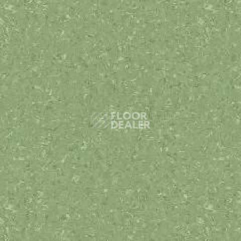 Линолеум Tarkett Tempo Plus 1009 фото 1 | FLOORDEALER