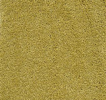 Ковролин AW Radiant 54 фото 1 | FLOORDEALER