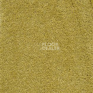 Ковролин AW Radiant 54 фото 1 | FLOORDEALER