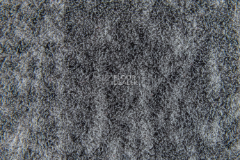 Flotex Colour Canyon 50*50 t545022 Canyon Limestone фото 4 | FLOORDEALER