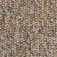 Ковролин Balsan Santa Fe DD Santa Fe dd 760 фото 1 | FLOORDEALER