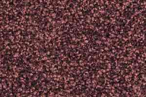 Ковровая плитка Balsan Mezzo Sonic Confort 590 фото  | FLOORDEALER