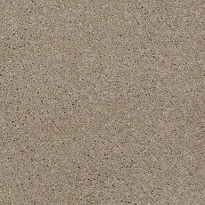Ковролин Shaw Design Texture Platinum 702 фото 1 | FLOORDEALER