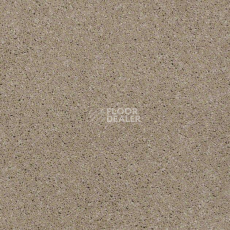 Ковролин Shaw Design Texture Platinum 702 фото 1 | FLOORDEALER