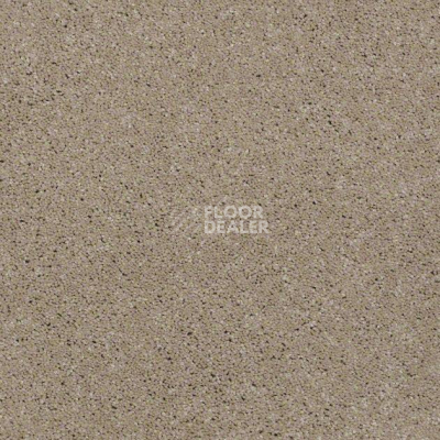 Ковролин Shaw Design Texture Platinum 702 фото 1 | FLOORDEALER