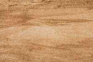 Линолеум Novoflor Standard 4800_2 фото  | FLOORDEALER