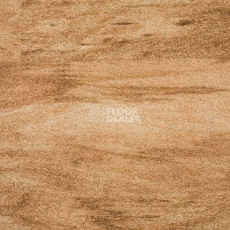 Линолеум Novoflor Standard 4800_2 фото 1 | FLOORDEALER