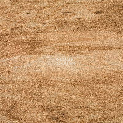 Линолеум Novoflor Standard 4800_2 фото 1 | FLOORDEALER