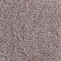 Ковролин Serene Beaulieu of America 10 фото 1 | FLOORDEALER