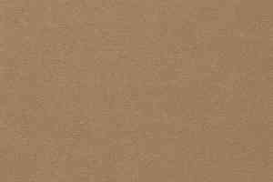 Ковролин Vorwerk Passion 1021 Vorwerk 8f91 фото  | FLOORDEALER