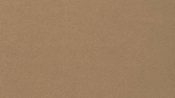 Ковролин Vorwerk Passion 1021 Vorwerk 8f91 фото 1 | FLOORDEALER