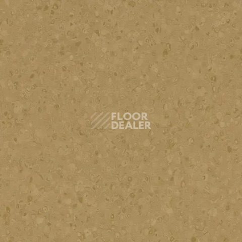 Линолеум Forbo Sphera Element 50066 flax фото 1 | FLOORDEALER