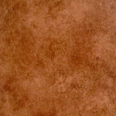 Линолеум Grabo Standart Color 4558-453 фото 1 | FLOORDEALER