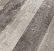 Ламинат Parador Trendtime 1 1601434 Хаотичный Гармония фото 1 | FLOORDEALER