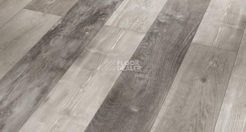 Ламинат Parador Trendtime 1 1601434 Хаотичный Гармония фото 1 | FLOORDEALER