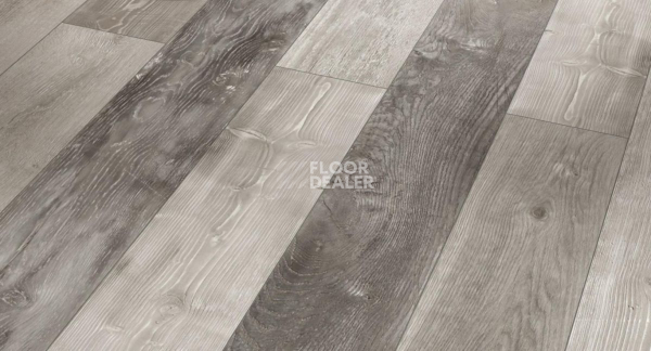 Ламинат Parador Trendtime 1 1601434 Хаотичный Гармония фото 1 | FLOORDEALER