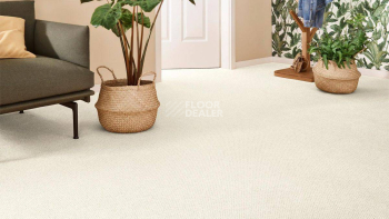 Vorwerk Superior 1071 Vorwerk 6c84 фото 2 | FLOORDEALER