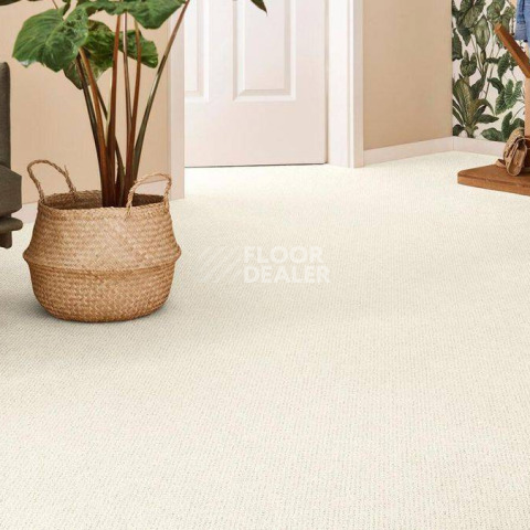 Vorwerk Superior 1071 Vorwerk 6c84 фото 2 | FLOORDEALER