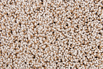 Escom Prestige 310 фото 2 | FLOORDEALER