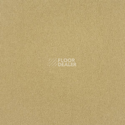 Ковровая плитка Interface Palette 2000 Sherbet фото 1 | FLOORDEALER