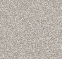 Линолеум Tarkett Galaxy Bismarck 3 фото 1 | FLOORDEALER