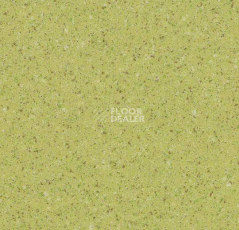 Линолеум Forbo Eternal Original 61262 фото 1 | FLOORDEALER