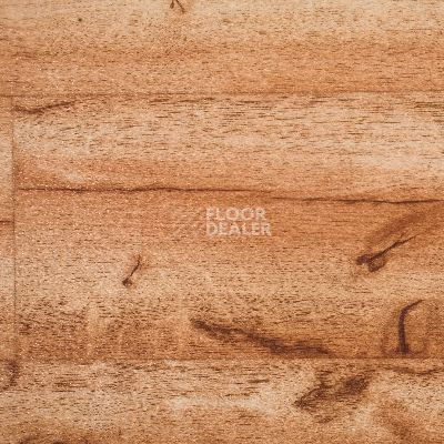 Линолеум Novoflor Standard 3330_1 фото 1 | FLOORDEALER