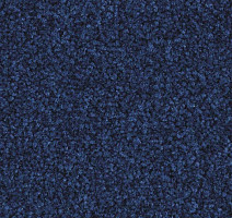 Ковролин Balsan Scenario 195 фото 1 | FLOORDEALER